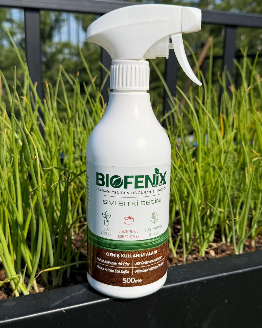 BioFenix Bitki Besini