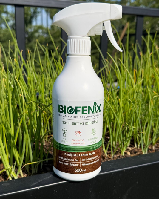 BioFenix Bitki Besini