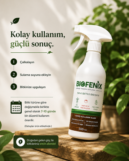BioFenix Bitki Besini