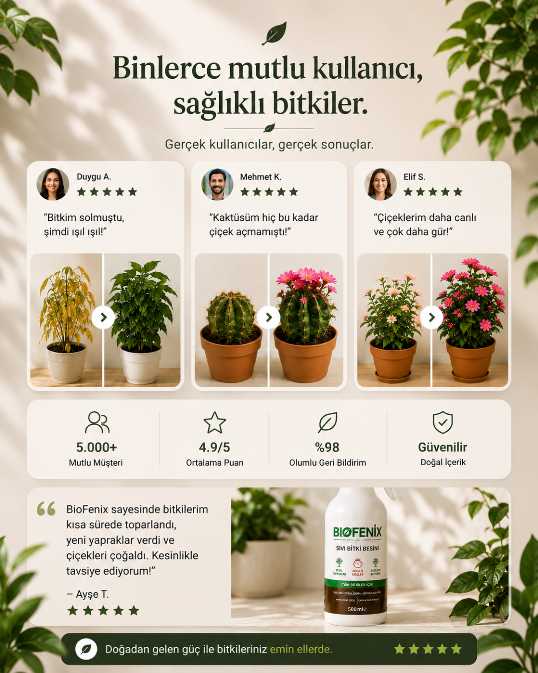 BioFenix Bitki Besini